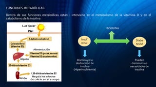 FUNCIONES METABÓLICAS:
Dentro de sus funciones metabólicas están : interviene en el metabolismo de la vitamina D y en el
catabolismo de la insulina
Insuf
renal
Diabe
tes M
INSULINA
Disminuye la
destrucción de
insulina
(Hiperinsulinemia)
Pueden
disminuir sus
necesidades de
insulina
 