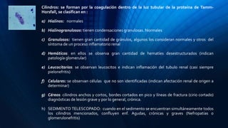 Cilindros: se forman por la coagulación dentro de la luz tubular de la proteína de Tamm-
Horsfall, se clasifican en :
a) Hialinos: normales
b) Hialinogranulosos: tienen condensaciones granulosas. Normales
c) Granulosos: tienen gran cantidad de gránulos, algunos los consideran normales y otros del
síntoma de un proceso inflamatorio renal
d) Hemáticos: en ellos se observa gran cantidad de hematíes desestructurados (indican
patología glomerular)
e) Leucocitarios: se observan leucocitos e indican inflamación del tubulo renal (casi siempre
pielonefritis)
f) Celulares: se observan células que no son identificadas (indican afectación renal de origen a
determinar)
g) Céreos: cilindros anchos y cortos, bordes cortados en pico y líneas de fractura (cirio cortado)
diagnósticas de lesión grave y por lo general, crónica.
h) SEDIMENTO TELESCOPADO: cuando en el sedimento se encuentran simultáneamente todos
los cilindros mencionados, confluyen enf. Agudas, crónicas y graves (Nefropatías o
glomerulonefritis)
 