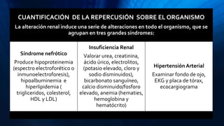 CUANTIFICACIÓN DE LA REPERCUSIÓN SOBRE EL ORGANISMO
La alteración renal induce una serie de alteraciones en todo el organismo, que se
agrupan en tres grandes síndromes:
Síndrome nefrótico
Produce hipoproteinemia
(espectro electroforético o
inmunoelectroforesis),
hipoalbuminemia e
hiperlipidemia (
trigliceridos, colesterol,
HDL y LDL)
Insuficiencia Renal
Valorar urea, creatinina,
ácido úrico, electrolitos,
(potasio elevado, cloro y
sodio disminuidos),
bicarbonato sanguíneo,
calcio disminuido/fosforo
elevado, anemia (hematies,
hemoglobina y
hematócrito)
HipertensiónArterial
Examinar fondo de ojo,
EKG y placa de tórax,
ecocargiograma
 