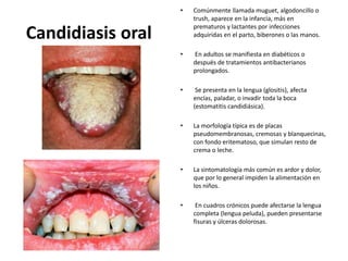 Candidiasis oral
• Comúnmente llamada muguet, algodoncillo o
trush, aparece en la infancia, más en
prematuros y lactantes por infecciones
adquiridas en el parto, biberones o las manos.
• En adultos se manifiesta en diabéticos o
después de tratamientos antibacterianos
prolongados.
• Se presenta en la lengua (glositis), afecta
encías, paladar, o invadir toda la boca
(estomatitis candidiásica).
• La morfología típica es de placas
pseudomembranosas, cremosas y blanquecinas,
con fondo eritematoso, que simulan resto de
crema o leche.
• La sintomatología más común es ardor y dolor,
que por lo general impiden la alimentación en
los niños.
• En cuadros crónicos puede afectarse la lengua
completa (lengua peluda), pueden presentarse
fisuras y úlceras dolorosas.
 