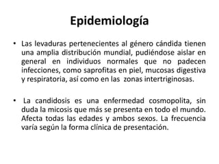 Epidemiología
• Las levaduras pertenecientes al género cándida tienen
una amplia distribución mundial, pudiéndose aislar en
general en individuos normales que no padecen
infecciones, como saprofitas en piel, mucosas digestiva
y respiratoria, así como en las zonas intertriginosas.
• La candidosis es una enfermedad cosmopolita, sin
duda la micosis que más se presenta en todo el mundo.
Afecta todas las edades y ambos sexos. La frecuencia
varía según la forma clínica de presentación.
 