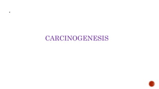 •
CARCINOGENESIS
 