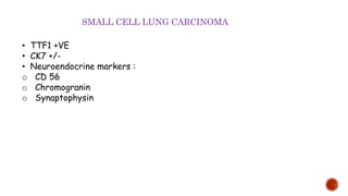 SMALL CELL LUNG CARCINOMA
• TTF1 +VE
• CK7 +/-
• Neuroendocrine markers :
o CD 56
o Chromogranin
o Synaptophysin
 
