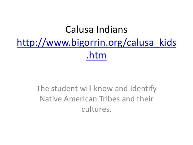 Calusa indians
