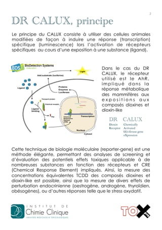 2	
  

DR CALUX, principe
Le principe du CALUX consiste à utiliser des cellules animales
modifiées de façon à induire une réponse (transcription)
spécifique (luminescence) lors l’activation de récepteurs
spécifiques au cours d’une exposition à une substance (ligand).

Dans le cas du DR
CALUX, le récepteur
utilisé est le AhR,
impliqué dans la
réponse métabolique
des mammifères aux
expositions aux
composés dioxines et
dioxin-like

DR CALUX

Dioxin !
Chemically !
Receptor ! Activated !
LUciferase gene !
eXpression!

Cette technique de biologie moléculaire (reporter-gene) est une
méthode élégante, permettant des analyses de screening et
d’évaluation des potentiels effets toxiques applicable à de
nombreuses substances en fonction des récepteurs et CRE
(Chemical Response Element) impliqués. Ainsi, la mesure des
concentrations équivalentes TCDD des composés dioxines et
dioxin-like est possible, ainsi que la mesure de divers effets de
perturbation endocrinienne (oestrogène, androgène, thyroïdien,
obésogènes), ou d’autres réponses telle que le stress oxydatif.

 