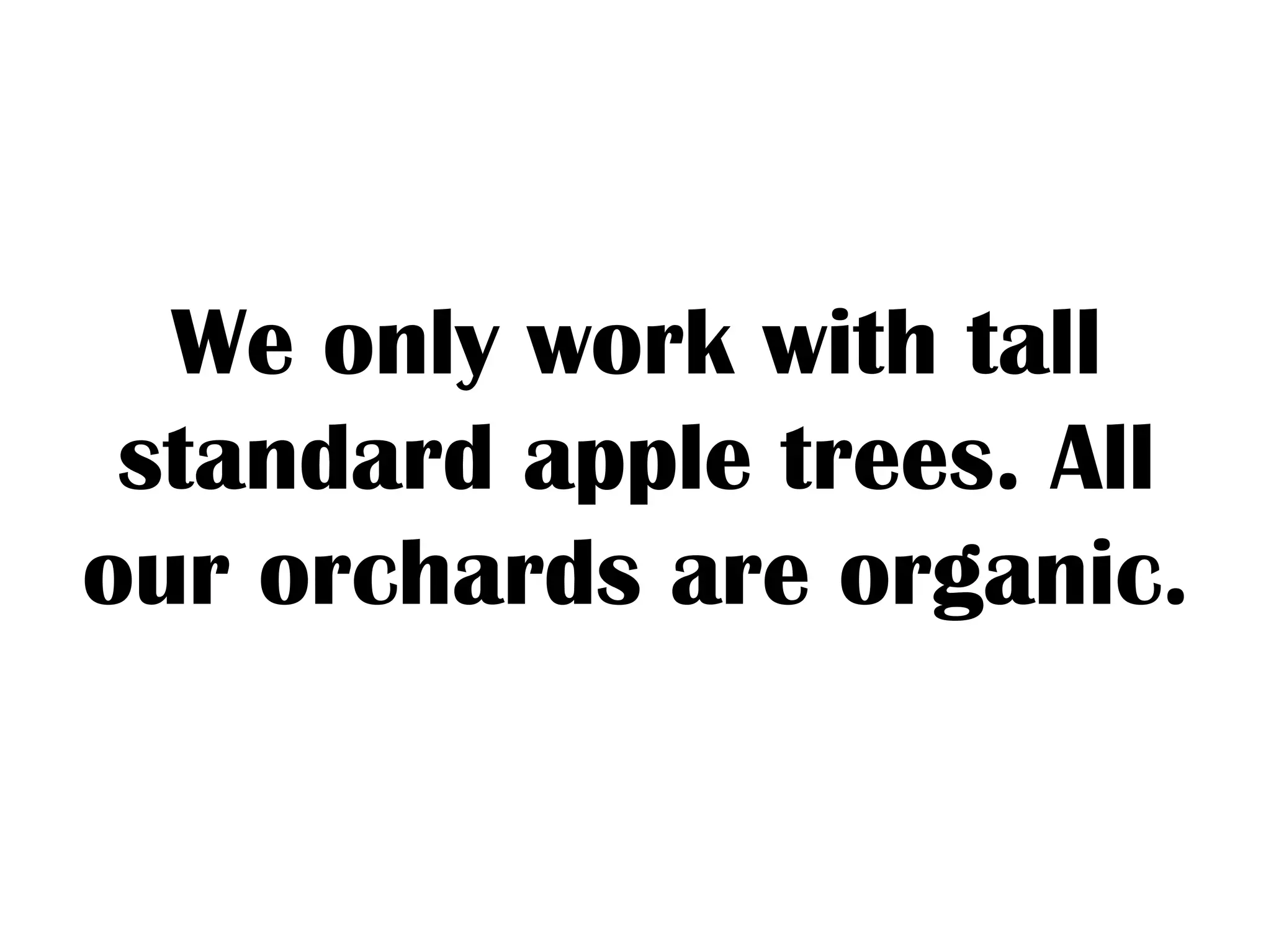 We only work with tall
standard apple trees. All
our orchards are organic.
 