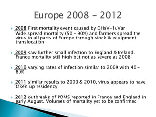 }  2008 First mortality event caused by OHsV-1uVar
Wide spread mortality (50 – 90%) and farmers spread the
virus to all parts of Europe through stock & equipment
translocation
}  2009 saw further small infection to England & Ireland.
France mortality still high but not as severe as 2008
}  2010 varying rates of infection similar to 2009 with 40 –
80%
}  2011 similar results to 2009 & 2010, virus appears to have
taken up residency
}  2012 outbreaks of POMS reported in France and England in
early August. Volumes of mortality yet to be confirmed
 