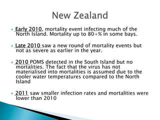 }  Early 2010, mortality event infecting much of the
North Island. Mortality up to 80+% in some bays.
}  Late 2010 saw a new round of mortality events but
not as severe as earlier in the year.
}  2010 POMS detected in the South Island but no
mortalities. The fact that the virus has not
materialised into mortalities is assumed due to the
cooler water temperatures compared to the North
Island
}  2011 saw smaller infection rates and mortalities were
lower than 2010
 