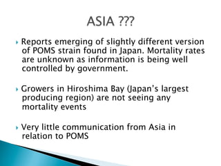}  Reports emerging of slightly different version
of POMS strain found in Japan. Mortality rates
are unknown as information is being well
controlled by government.
}  Growers in Hiroshima Bay (Japan’s largest
producing region) are not seeing any
mortality events
}  Very little communication from Asia in
relation to POMS
 