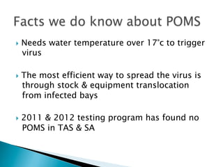 }  Needs water temperature over 17°c to trigger
virus
}  The most efficient way to spread the virus is
through stock & equipment translocation
from infected bays
}  2011 & 2012 testing program has found no
POMS in TAS & SA
 