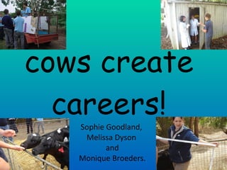 cows create careers! Sophie Goodland, Melissa Dyson and Monique Broeders. 
