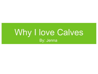 Why I love Calves
By: Jenna
 