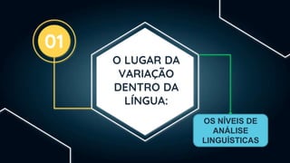 O LUGAR DA
VARIAÇÃO
DENTRO DA
LÍNGUA:
01
OS NÍVEIS DE
ANÁLISE
LINGUÍSTICAS
 