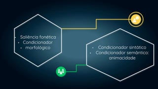 • Condicionador sintático
• Condicionador semântico:
animacidade
• Saliência fonética
• Condicionador
• morfológico
 