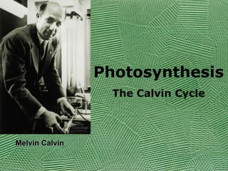 Photosynthesis
The Calvin Cycle
Melvin CalvinMelvin Calvin
 
