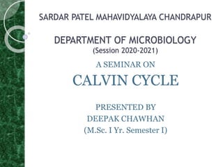 SARDAR PATEL MAHAVIDYALAYA CHANDRAPUR
DEPARTMENT OF MICROBIOLOGY
(Session 2020-2021)
A SEMINAR ON
CALVIN CYCLE
PRESENTED BY
DEEPAK CHAWHAN
(M.Sc. I Yr. Semester I)
 