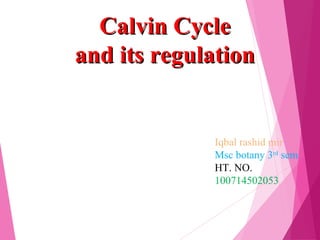 Calvin CycleCalvin Cycle
and its regulationand its regulation
Iqbal rashid mir
Msc botany 3rd
sem
HT. NO.
100714502053
 