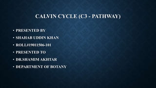 CALVIN CYCLE (C3 - PATHWAY)
• PRESENTED BY
• SHAHAB UDDIN KHAN
• ROLL#19011506-101
• PRESENTED TO
• DR.SHAMIM AKHTAR
• DEPARTMENT OF BOTANY
 