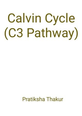 Calvin Cycle (C3 Pathway) 