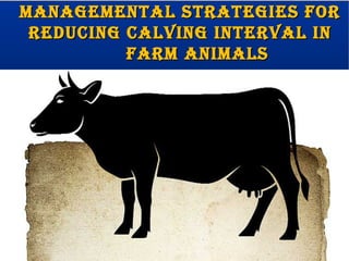 MANAGEMENTAL STRATEGIES FORMANAGEMENTAL STRATEGIES FOR
REDUCING CALVING INTERVAL INREDUCING CALVING INTERVAL IN
FARM ANIMALSFARM ANIMALS
 