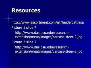 Resources http://www.essortment.com/all/feedercattlesa_rkjm.htm Picture 1 slide 7 http://www.das.psu.edu/research-extension/meat/images/carcass-steer-2.jpg Picture 2 slide 7 http://www.das.psu.edu/research-extension/meat/images/carcass-steer-3.jpg 