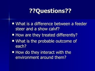 ??Questions?? What is a difference between a feeder steer and a show calvf? How are they treated differently? What is the probable outcome of each? How do they interact with the environment around them? 