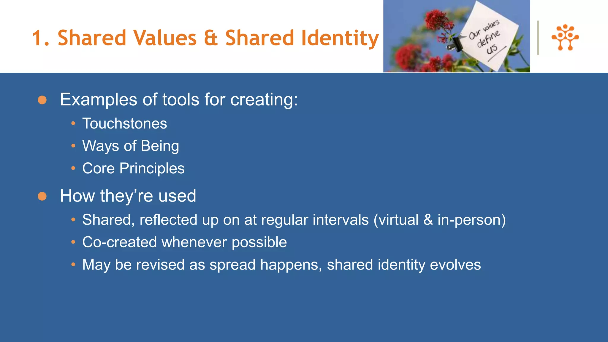 1. Shared Values & Shared Identity
 Examples of tools for creating:
• Touchstones
• Ways of Being
• Core Principles
 How they’re used
• Shared, reflected up on at regular intervals (virtual & in-person)
• Co-created whenever possible
• May be revised as spread happens, shared identity evolves
45
 