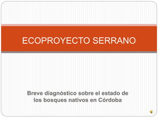 Breve diagnóstico sobre el estado de
los bosques nativos en Córdoba
ECOPROYECTO SERRANO
 