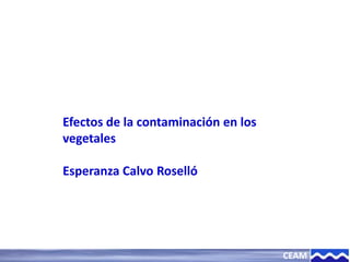 CEAM
Efectos de la contaminación en los
vegetales
Esperanza Calvo Roselló
 