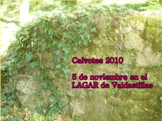 Calvotes 10