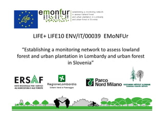 LIFE+ LIFE10 ENV/IT/00039 EMoNFUr
“Establishing a monitoring network to assess lowland
forest and urban plantation in Lombardy and urban forest
in Slovenia”

 