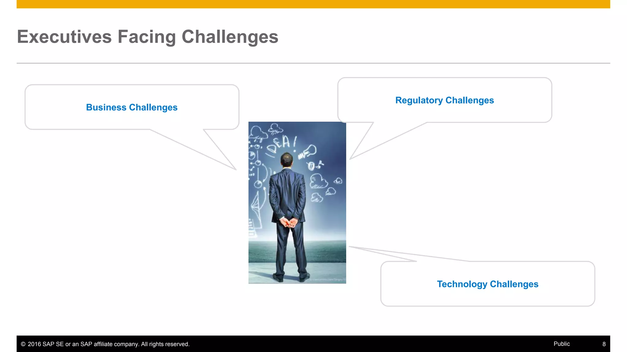 © 2016 SAP SE or an SAP affiliate company. All rights reserved. 8Public
Executives Facing Challenges
8
Regulatory Challenges
Business Challenges
Technology Challenges
 