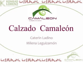 Calzado Camaleón
Caterin Ladino
Milena Leguizamón
 