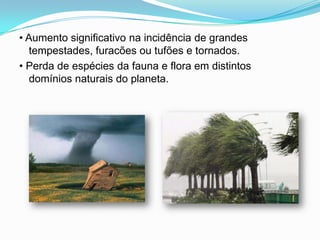 • Aumento significativo na incidência de grandes tempestades, furacões ou tufões e tornados.• Perda de espécies da fauna e flora em distintos domínios naturais do planeta.