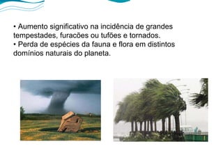 •  Aumento significativo na incidência de grandes tempestades, furacões ou tufões e tornados. •  Perda de espécies da fauna e flora em distintos domínios naturais do planeta. 
