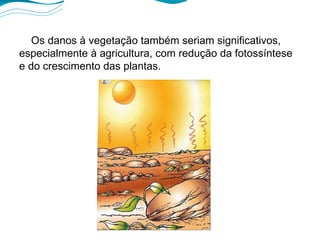 Os danos à vegetação também seriam significativos, especialmente à agricultura, com redução da fotossíntese e do crescimento das plantas. 