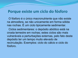 Porque existe um ciclo do fósforo     O fósforo é o único macronutriente que não existe na atmosfera, se não unicamente em forma sólida nas rochas. É um ciclo tipicamente sedimentar.     Ciclos sedimentares: o depósito abiótico está na crosta terrestre em rochas; estes ciclos são mais vulneráveis a perturbações externas, pelo fato deste depósito ter um tempo muito elevado de recirculação. Exemplos: ciclo do cálcio e ciclo do fósforo.