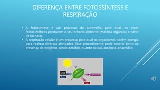 DIFERENÇA ENTRE FOTOSSÍNTESE E
RESPIRAÇÃO
• A fotossíntese é um processo de autotrofia, pelo qual, os seres
fotossintéticos produzem o seu próprio alimento (matéria orgânica) a partir
da luz solar.
• A respiração celular é um processo pelo qual os organismos obtêm energia
para realizar diversas atividades. Esse procedimento pode ocorrer tanto na
presença de oxigénio, sendo aeróbio, quanto na sua ausência, anaeróbio.
 