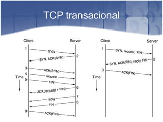 TCP transacional
 
