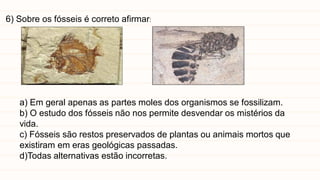 6) Sobre os fósseis é correto afirmar:
a) Em geral apenas as partes moles dos organismos se fossilizam.
b) O estudo dos fósseis não nos permite desvendar os mistérios da
vida.
c) Fósseis são restos preservados de plantas ou animais mortos que
existiram em eras geológicas passadas.
d)Todas alternativas estão incorretas.
 