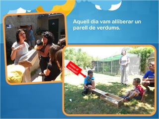 Aquell dia vam alliberar un
parell de verdums.
Veieu
el
verdum
?
Veieu
el
verdum
?
 