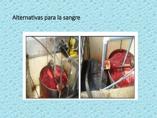 Alternativas para la sangre
 