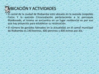 UBICACIÓN Y ACTIVIDADES
• El camal de la ciudad de Riobamba está ubicado en la avenida Leopoldo
Freire Y la avenida Circunvalación perteneciente a la parroquia
Maldonado, el mismo se encuentra en un lugar residencial es por eso
que hay proyectos para establecer su reubicación.
• El número de ganados faenados en la actualidad, en el camal municipal
de Riobamba es 140 bovinos, 400 porcinos y 400 ovinos por día.
 