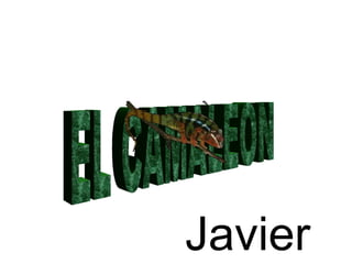 EL CAMALEON Javier 