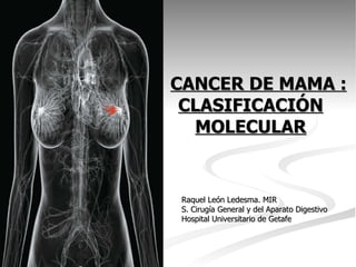 CANCER DE MAMA : CLASIFICACIÓN MOLECULAR ,[object Object],[object Object],[object Object]
