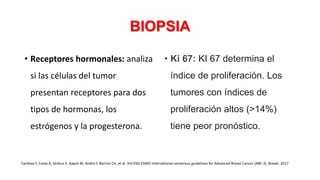 BIOPSIA
• Receptores hormonales: analiza
si las células del tumor
presentan receptores para dos
tipos de hormonas, los
estrógenos y la progesterona.
• Ki 67: KI 67 determina el
índice de proliferación. Los
tumores con índices de
proliferación altos (>14%)
tiene peor pronóstico.
Cardoso F, Costa A, Senkus E, Aapro M, André F, Barrios CH, et al. 3rd ESO-ESMO international consensus guidelines for Advanced Breast Cancer (ABC 3). Breast. 2017
 