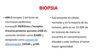 BIOPSIA
• HER-2 (receptor 2 del factor de
crecimiento epidérmico
humano)El HER2/neu ('receptor
tirosina-proteína quinasa erbB-2),
conocido también como ErbB2 y
designado como cúmulo de
diferenciación CD340 y p185,
• Está presente en células
normales y en la mayoría de los
tumores, pero en un 15-20% de
los tumores de mama se
encuentra en concentraciones
elevadas y esto confiere al tumor
mayor agresividad.
 