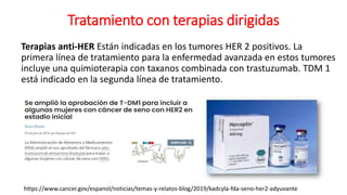 Tratamiento con terapias dirigidas
Terapias anti-HER Están indicadas en los tumores HER 2 positivos. La
primera línea de tratamiento para la enfermedad avanzada en estos tumores
incluye una quimioterapia con taxanos combinada con trastuzumab. TDM 1
está indicado en la segunda línea de tratamiento.
https://www.cancer.gov/espanol/noticias/temas-y-relatos-blog/2019/kadcyla-fda-seno-her2-adyuvante
 