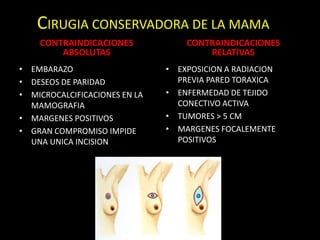 CIRUGIA CONSERVADORA DE LA MAMA
CONTRAINDICACIONES
ABSOLUTAS
• EMBARAZO
• DESEOS DE PARIDAD
• MICROCALCIFICACIONES EN LA
MAMOGRAFIA
• MARGENES POSITIVOS
• GRAN COMPROMISO IMPIDE
UNA UNICA INCISION
CONTRAINDICACIONES
RELATIVAS
• EXPOSICION A RADIACION
PREVIA PARED TORAXICA
• ENFERMEDAD DE TEJIDO
CONECTIVO ACTIVA
• TUMORES > 5 CM
• MARGENES FOCALEMENTE
POSITIVOS
 