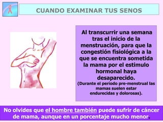 No olvides que el hombre también puede sufrir de cáncer
de mama, aunque en un porcentaje mucho menor.
Al transcurrir una semana
tras el inicio de la
menstruación, para que la
congestión fisiológica a la
que se encuentra sometida
la mama por el estimulo
hormonal haya
desaparecido.
(Durante el período pre-menstrual las
mamas suelen estar
endurecidas y dolorosas).
CUANDO EXAMINAR TUS SENOS
 